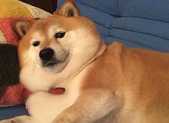 굿모임